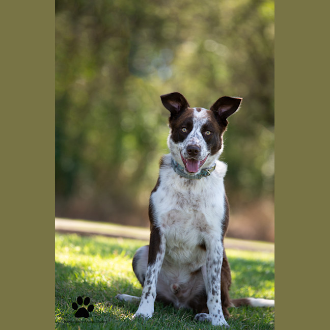 Photo of Mack