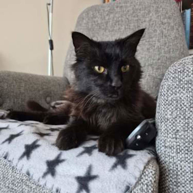 Photo of Leroy