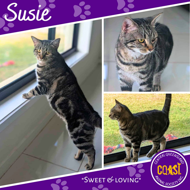Photo of Susie