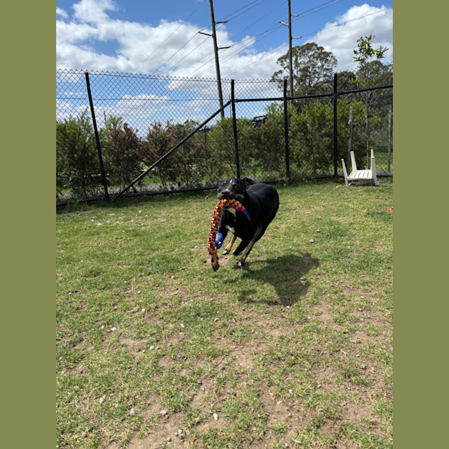 Photo of Rosie Imp 2050