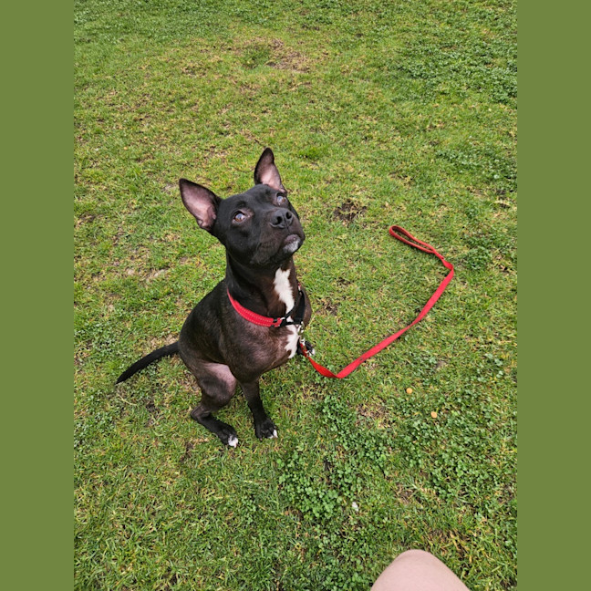 Photo of Nora