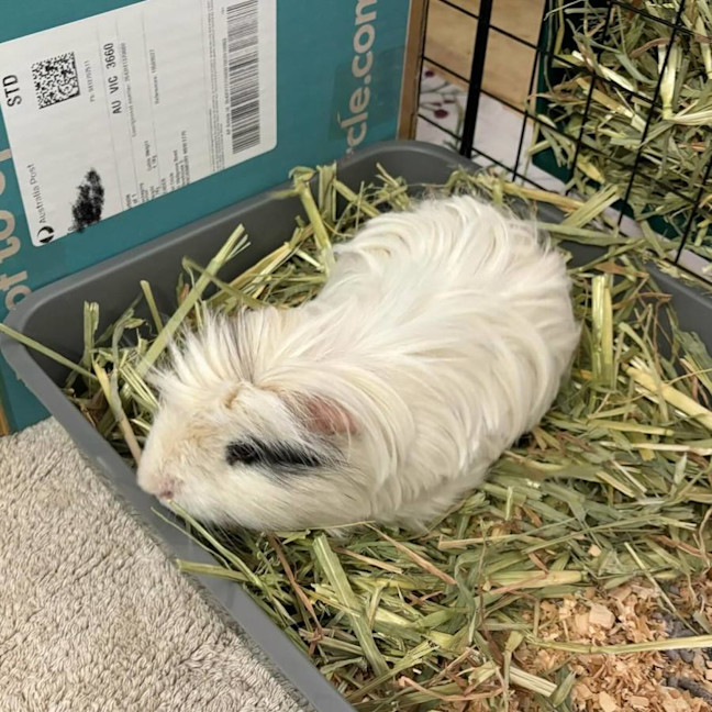 Photo of Peter & Pascal