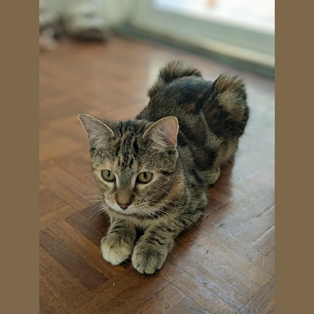 Photo of Milah