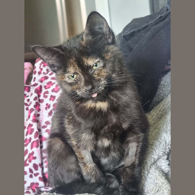 Photo of Lulu