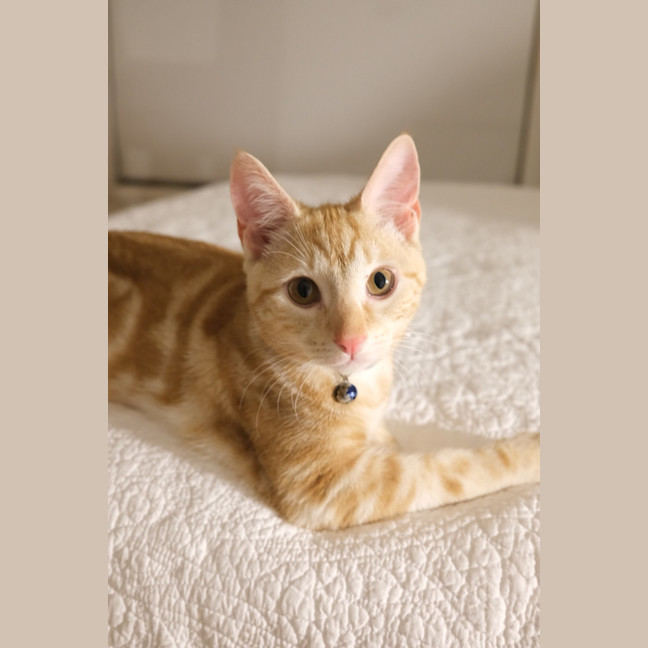 Photo of Winston