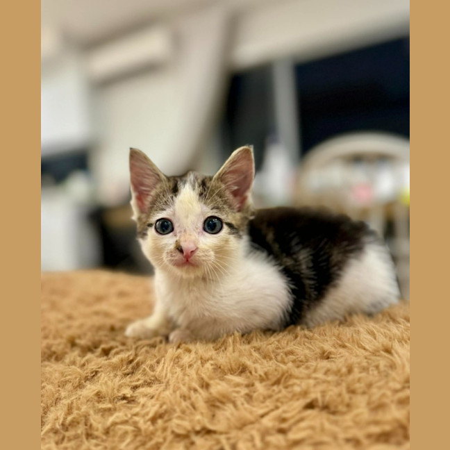 Photo of Max