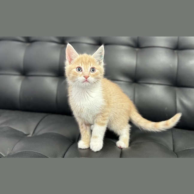 Photo of Jack