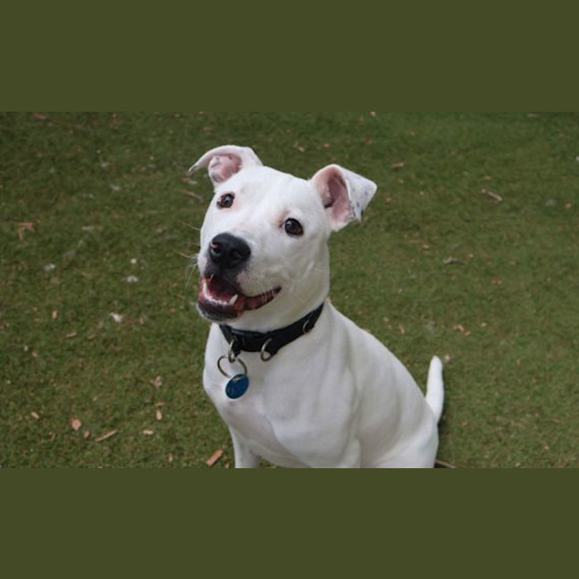Photo of Missy