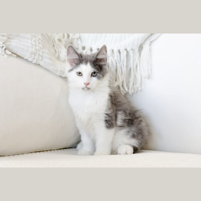 Photo of Theo