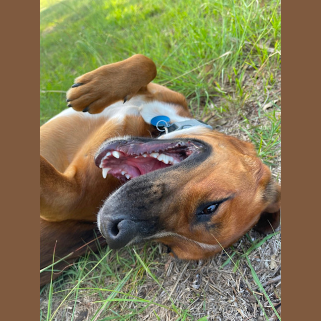Photo of Percy