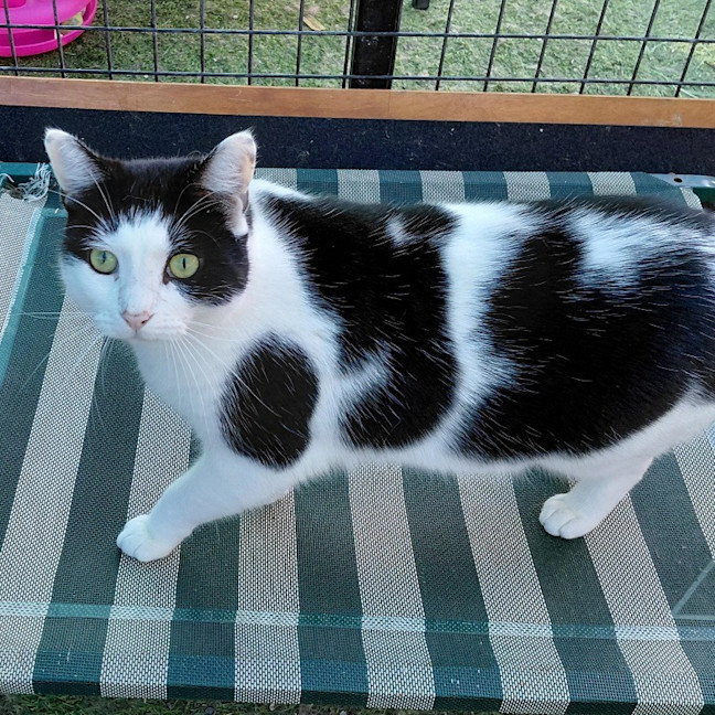 Photo of Tootsy