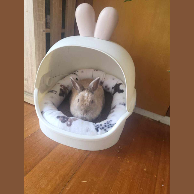 Photo of Spice Unity