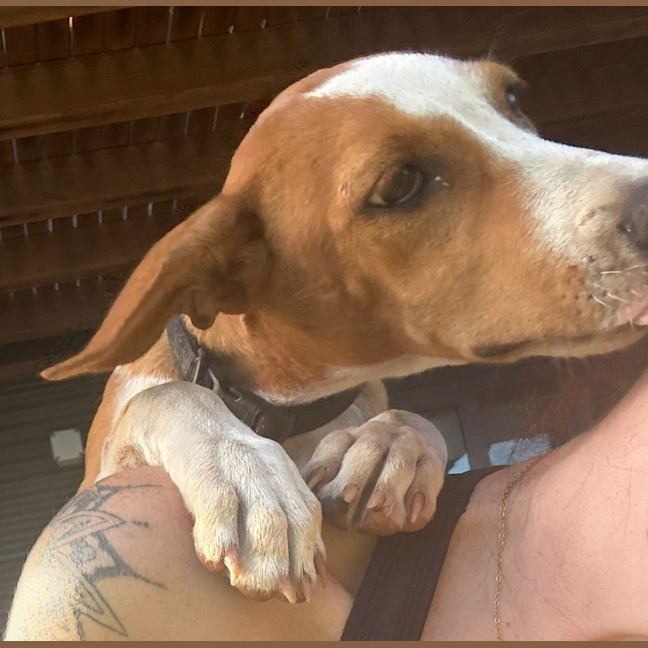 Photo of Marmie