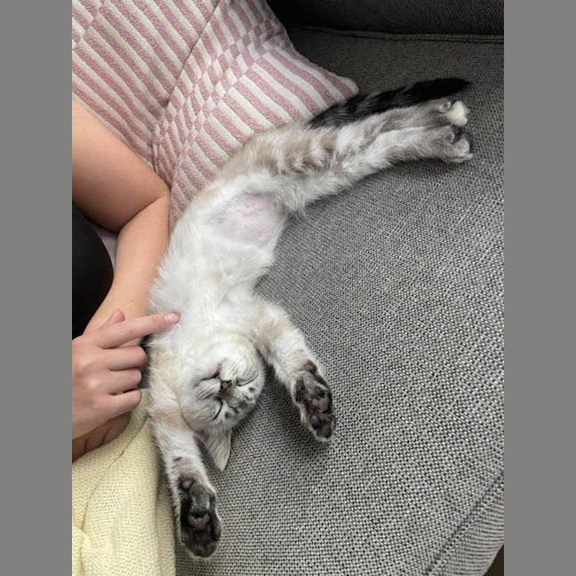 Photo of Ophelia And Dave 