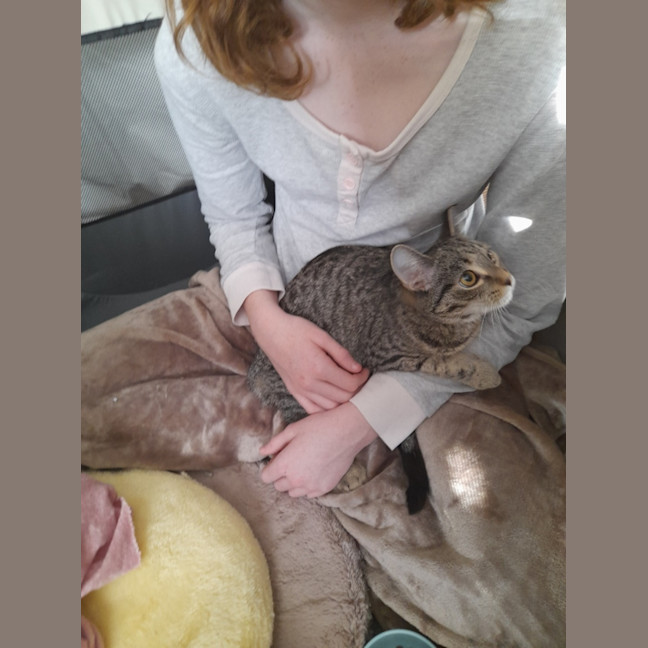 Photo of Jennifer Sparkles