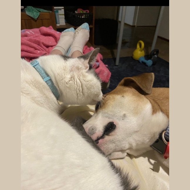 Photo of Harvey 