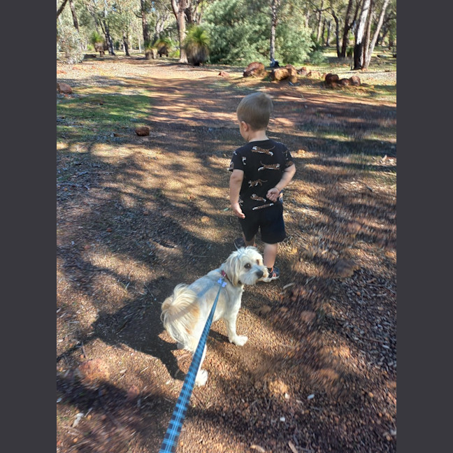 Photo of Sophie (Was Toast)