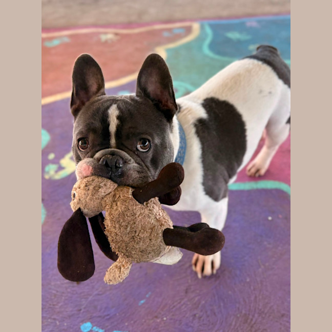 Photo of Albert