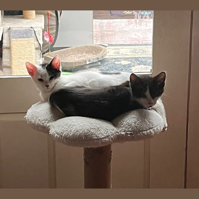 Photo of Adelina & Flora