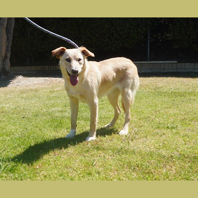 Photo of Madeline