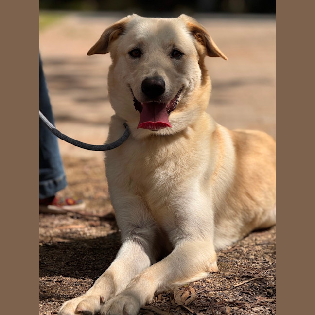 Photo of Atlas