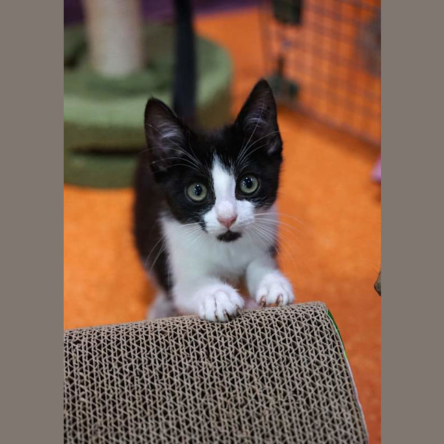 Photo of Bonnibel