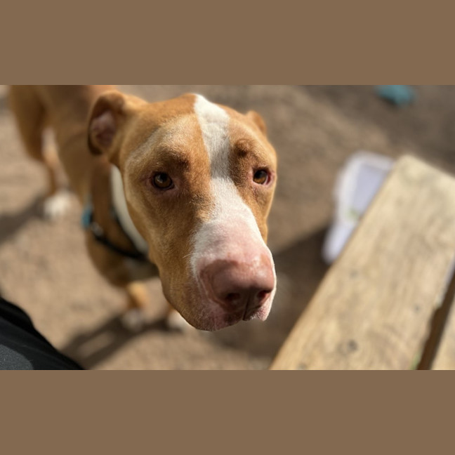 Photo of Wally