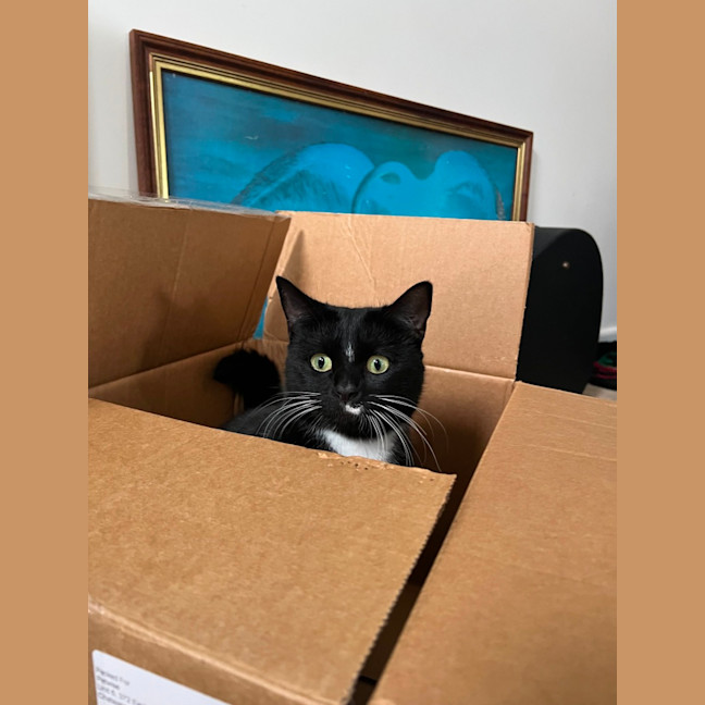 Photo of Betty
