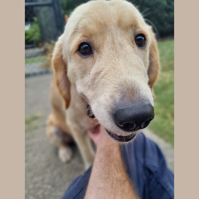 Photo of Timmy
