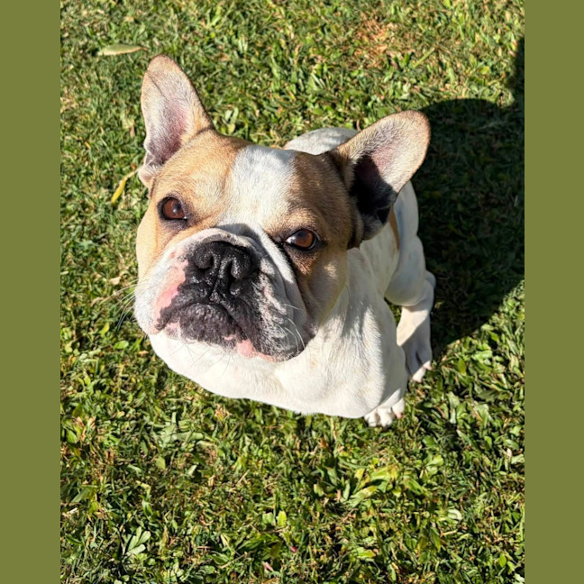 Photo of Larry