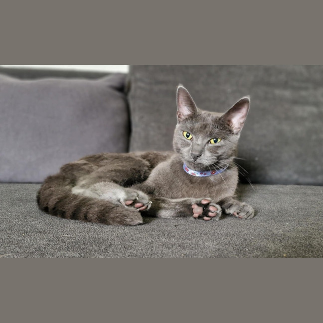 Photo of Vera