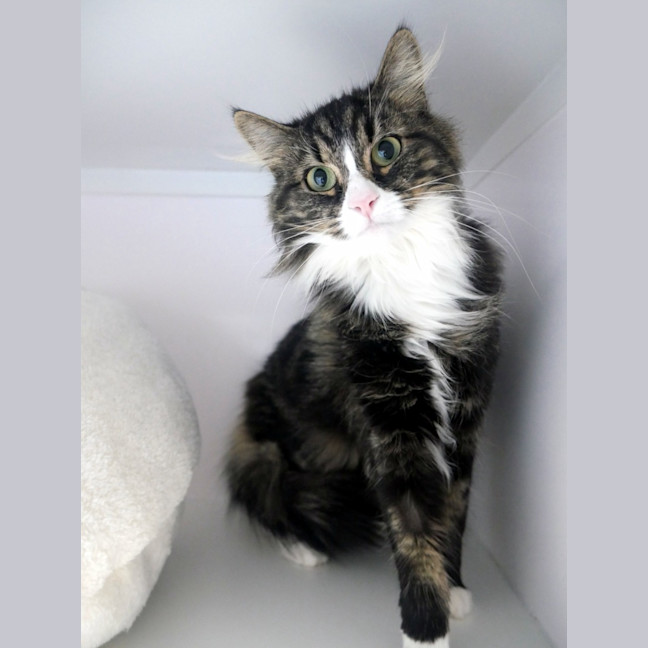 Photo of Lulu Sua013005