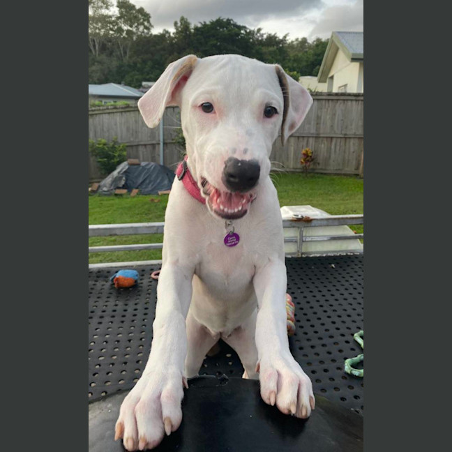 Photo of Kaida