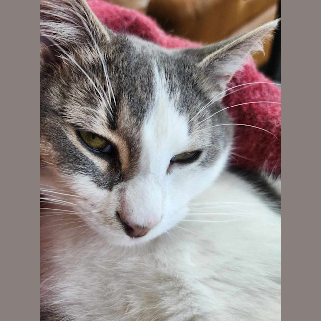 Photo of 🤎 Douglas 🤎