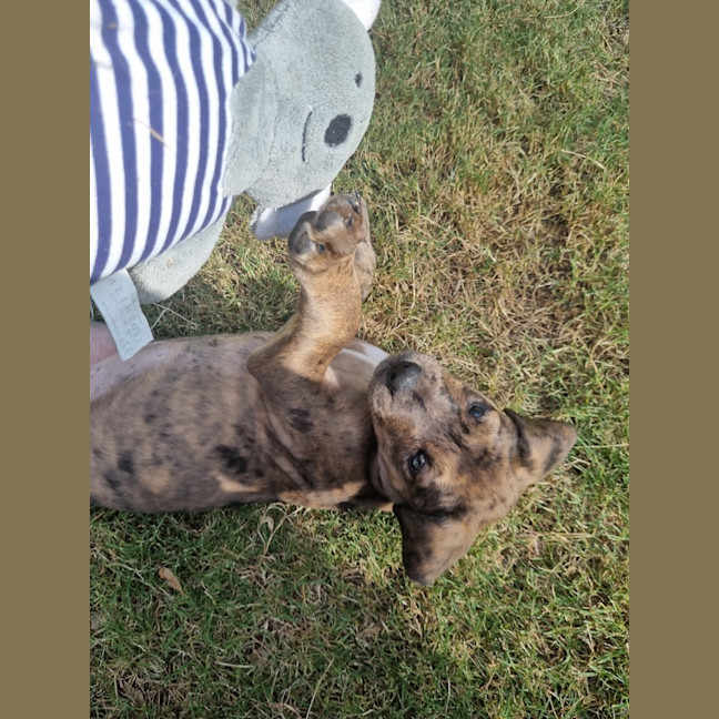 Photo of Freyja