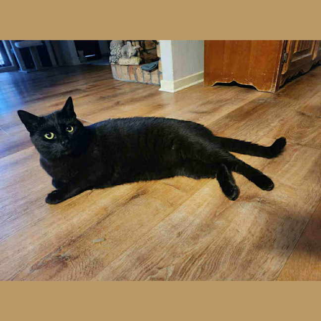 Photo of Ghetto & Gucci