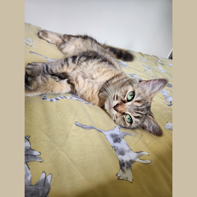 Photo of Priscilla