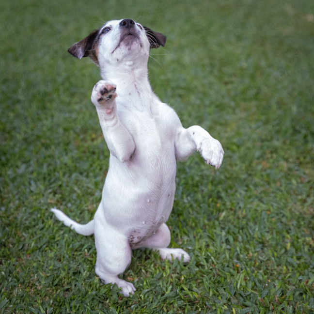 Photo of Wilma