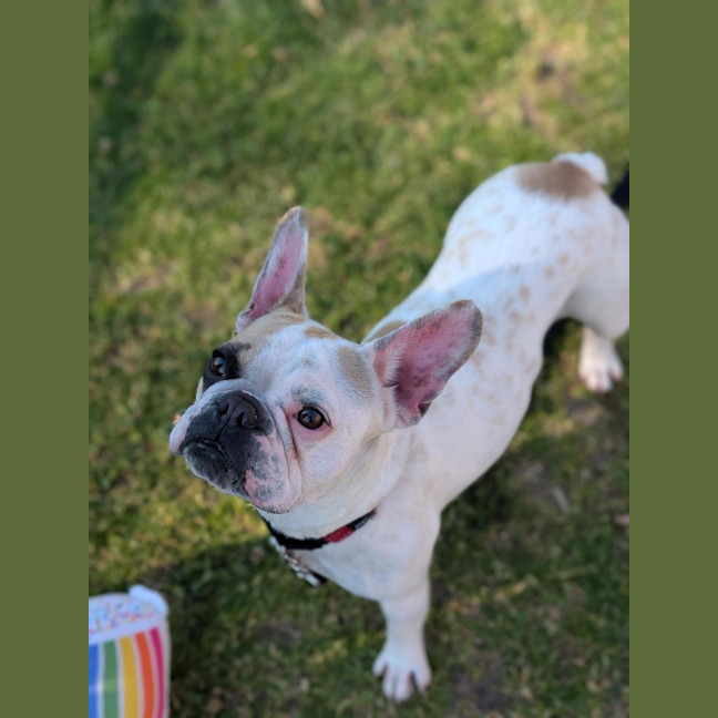Photo of Bonnie