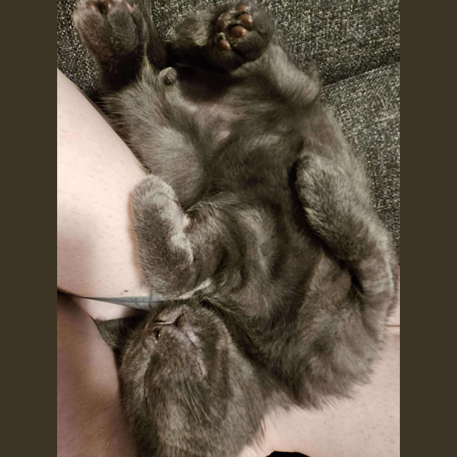 Photo of Pesto   Located In Preston