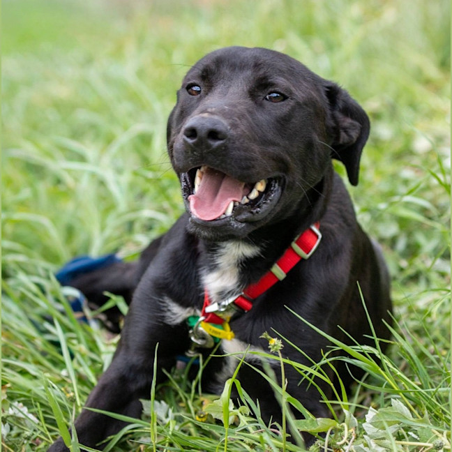 Photo of Tank