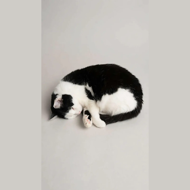 Photo of Winnie
