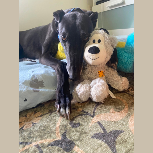 Photo of Mia