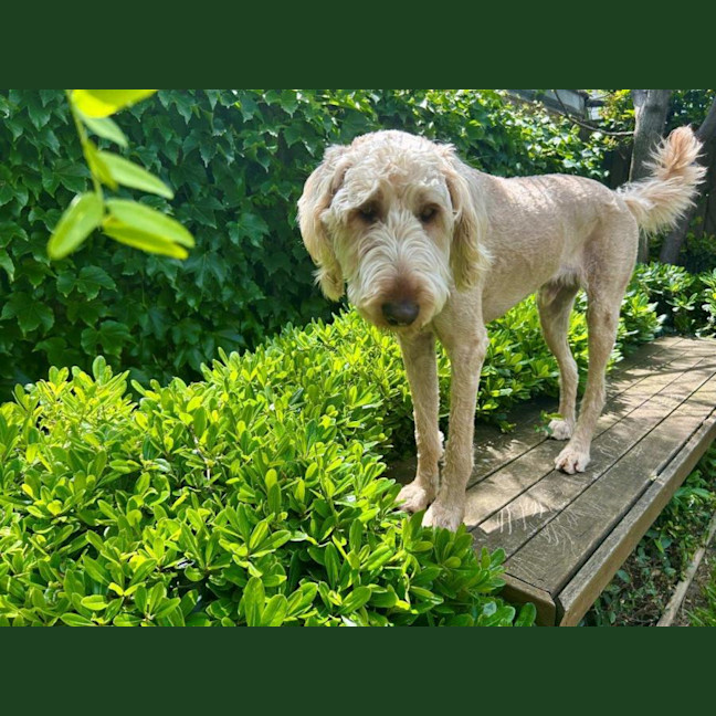 Photo of Marshall Uffelman
