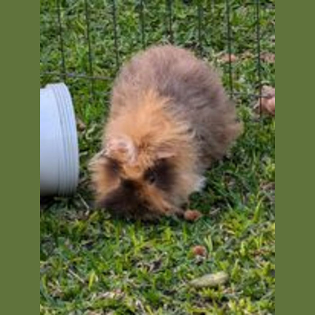 Photo of Max & Floyd 