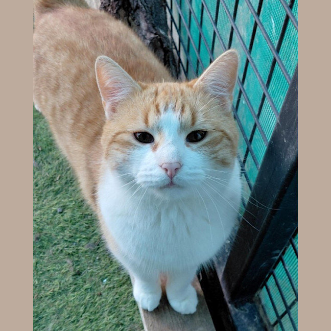 Photo of Jerry