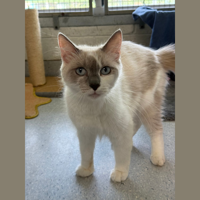 Photo of Luna