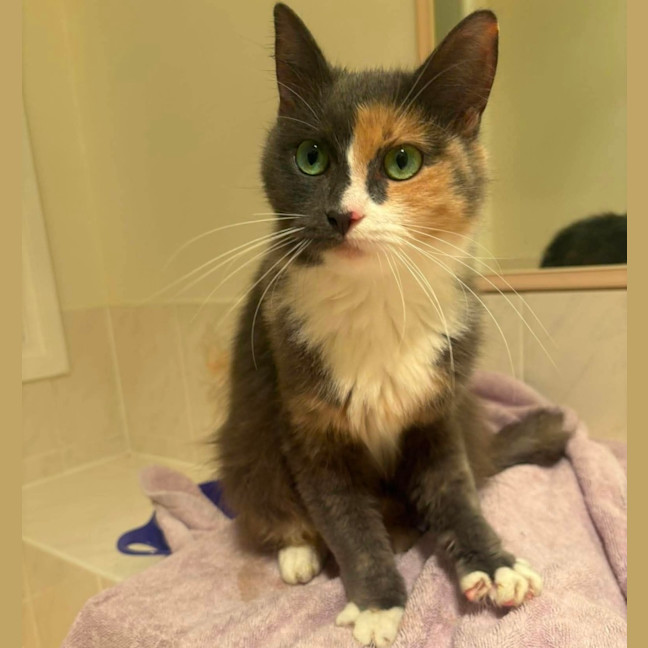 Photo of Thelma 