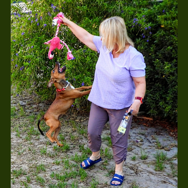 Photo of Lilly (Was Lolly)