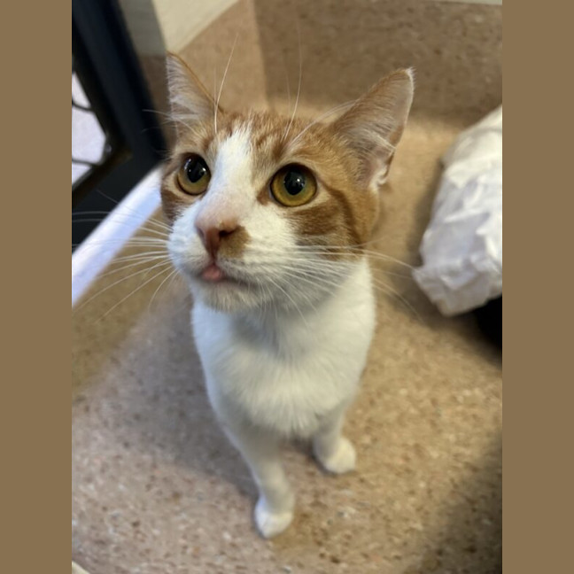 Photo of Bingo